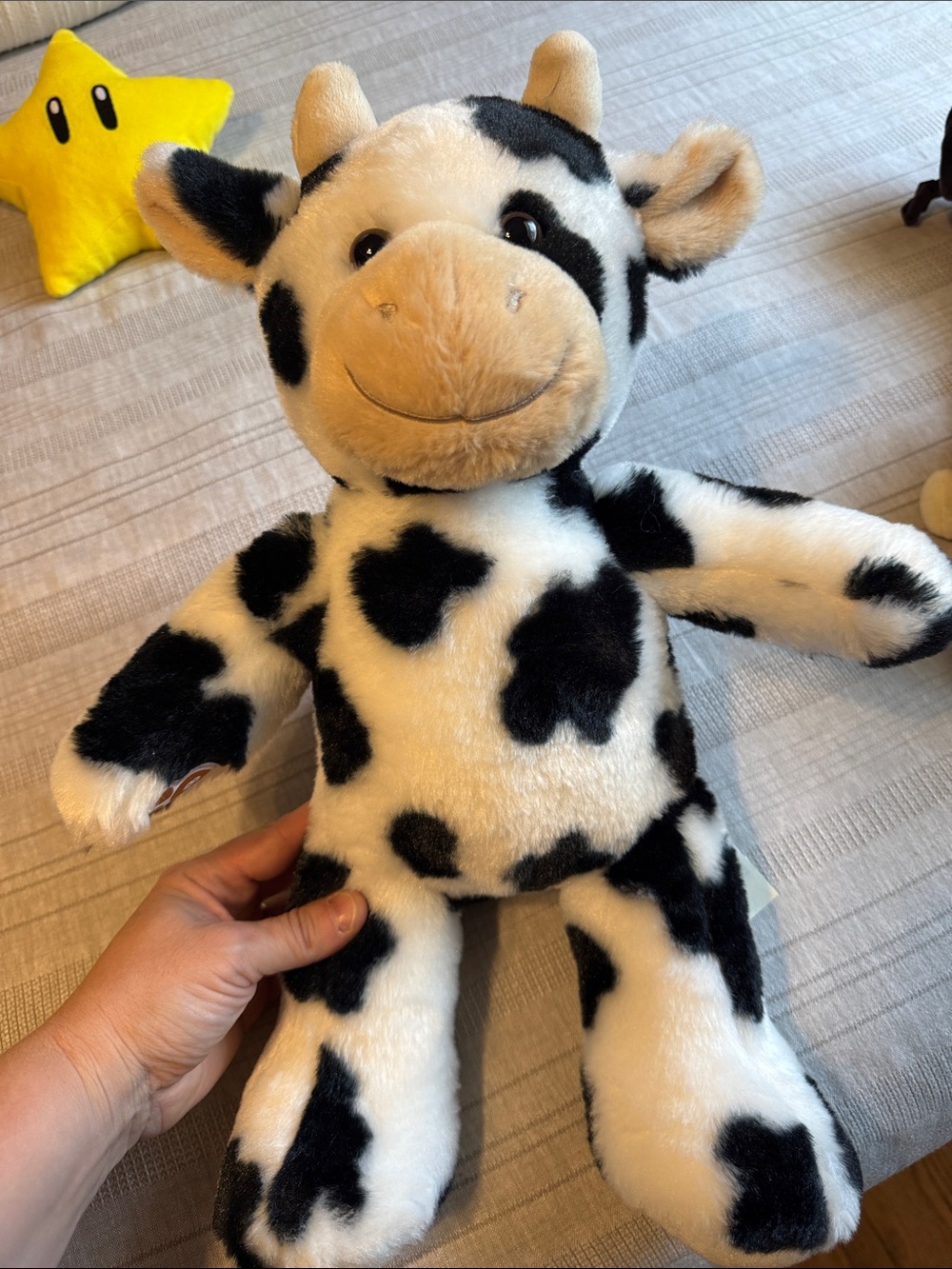 BAB Dairy cow